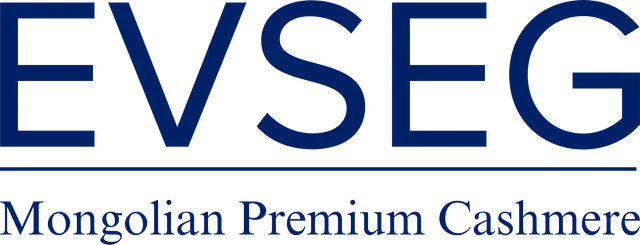 Evseg logo